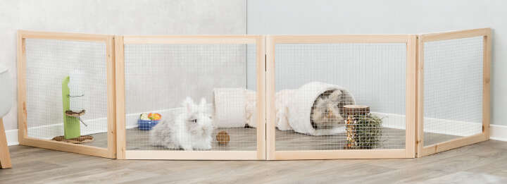 TRIXIE Freilaufgehege für Innen, Zwergkaninchen